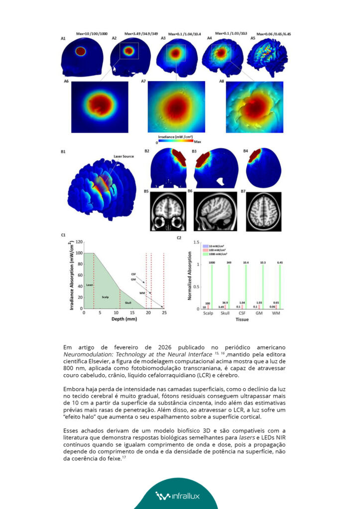 Em artigo de fevereiro de 2026 publicado no periódico americano Neuromodulation: Technology at the Neural Interface,, mantido pela editora científica Elsevier, a figura de modelagem computacional acima mostra que a luz de 800 nm, aplicada como fotobiomodulação transcraniana, é capaz de atravessar couro cabeludo, crânio, líquido cefalorraquidiano (LCR) e cérebro. 

Embora haja perda de intensidade nas camadas superficiais, como o declínio da luz no tecido cerebral é muito gradual, fótons residuais conseguem ultrapassar mais de 10 cm a partir da superfície da substância cinzenta, indo além das estimativas prévias mais rasas de penetração. Além disso, ao atravessar o LCR, a luz sofre um “efeito halo” que aumenta o seu espalhamento sobre a superfície cortical. 

Esses achados derivam de um modelo biofísico 3D e são compatíveis com a literatura que demonstra respostas biológicas semelhantes para lasers e LEDs NIR contínuos quando se igualam comprimento de onda e dose, pois a propagação depende do comprimento de onda e da densidade de potência na superfície, não da coerência do feixe.